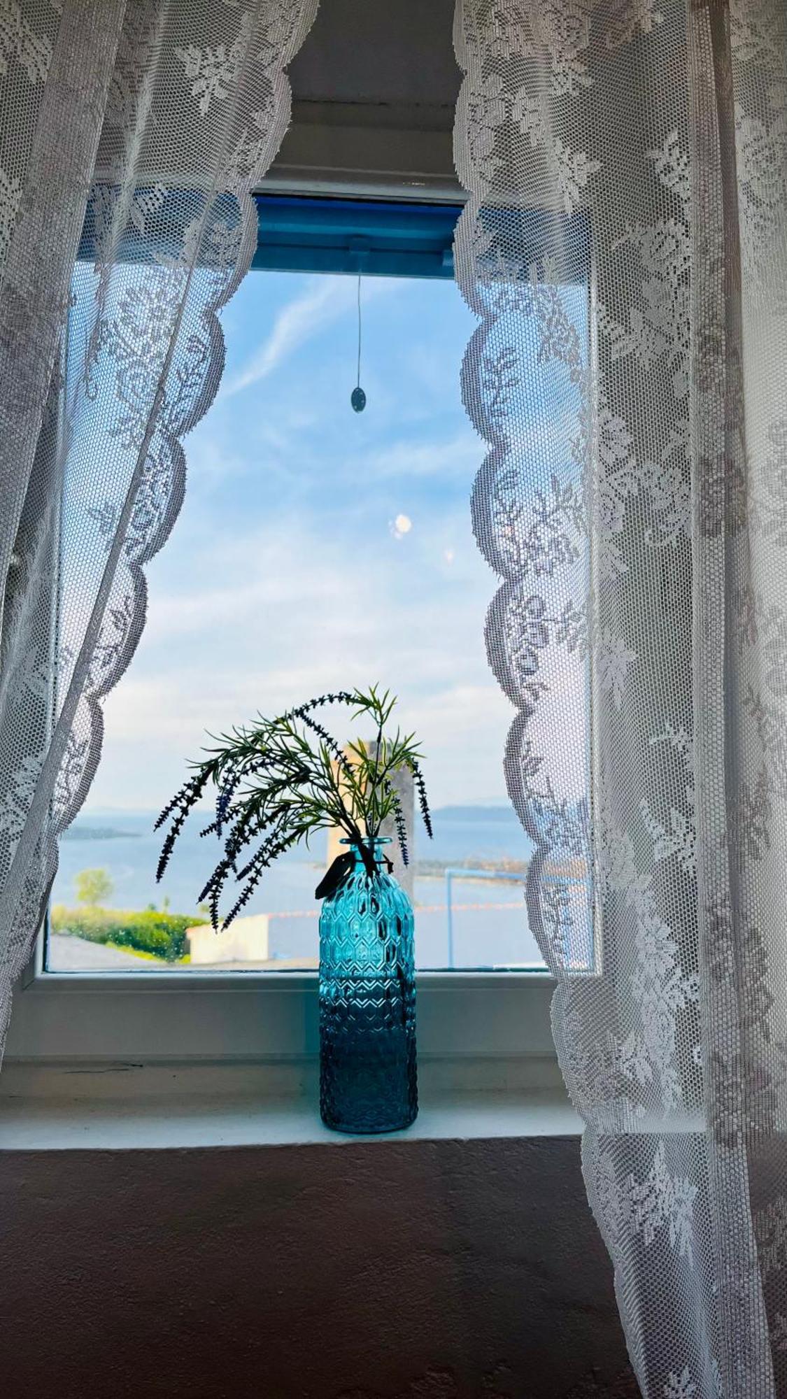 Olivier House Villa Zaglav Eksteriør billede