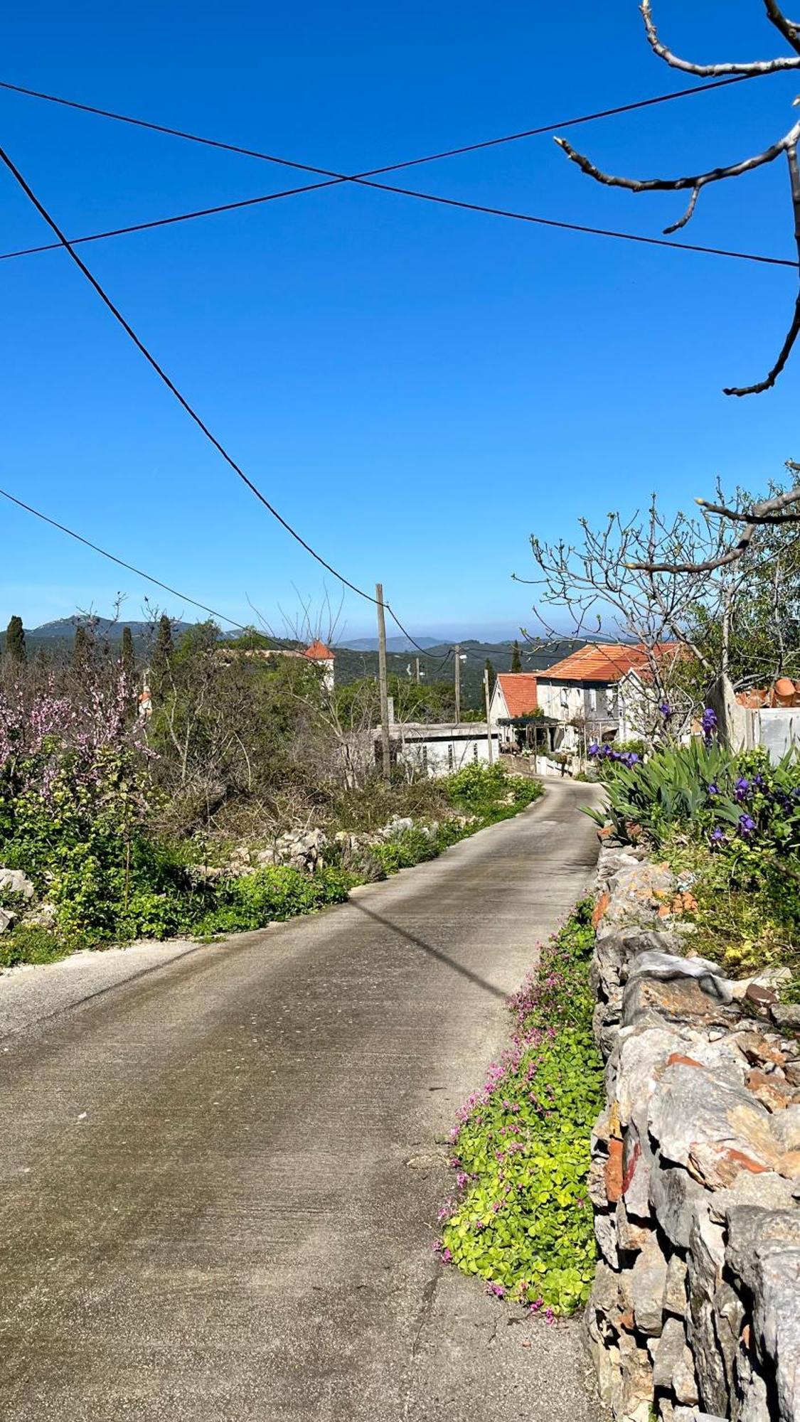 Olivier House Villa Zaglav Eksteriør billede